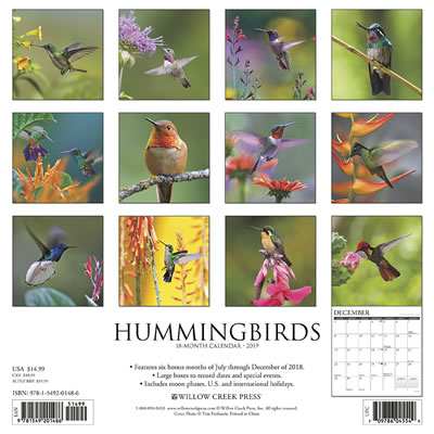 2019 Hummingbirds Birds Calendar
